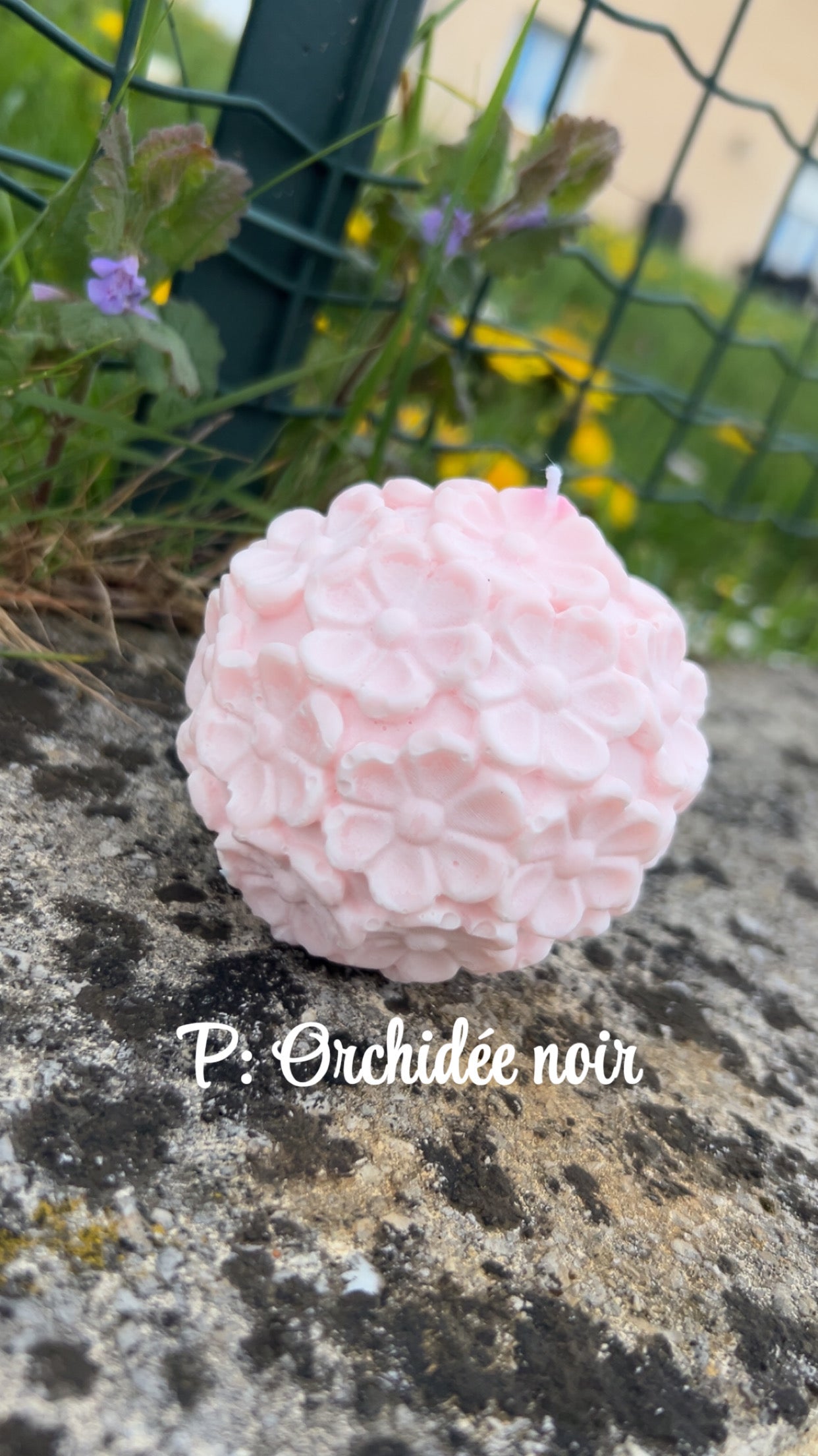 🕯️ Douceur de Marguerite🕯️
